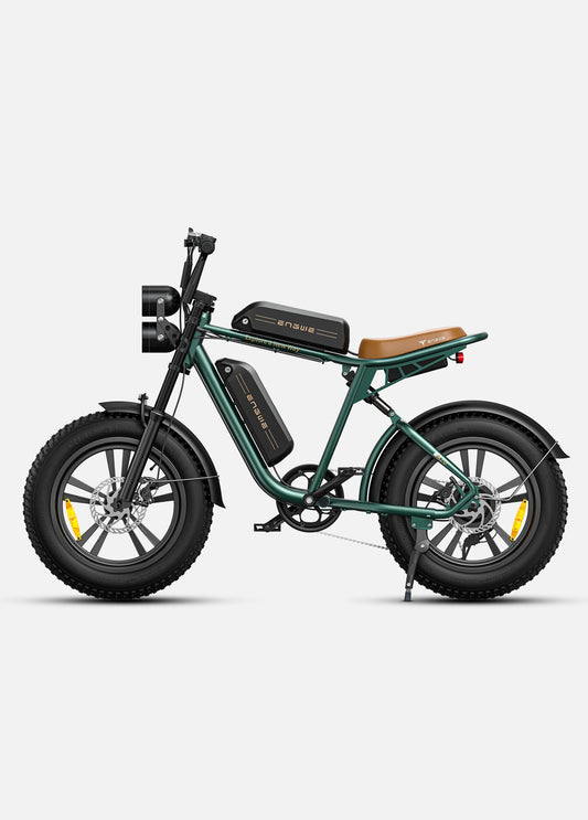 M20 Electric bike- 45km/h